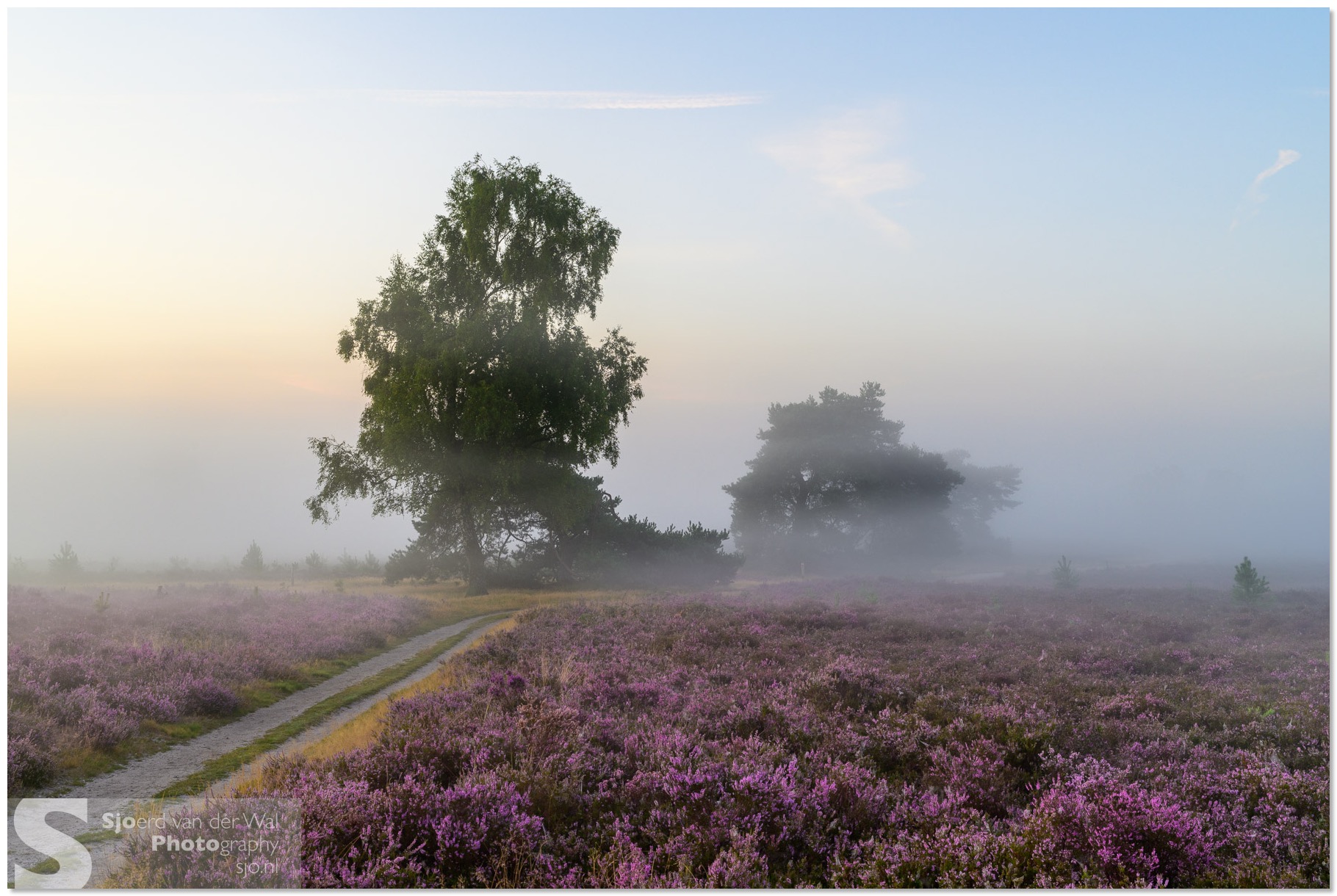 2025-08-15_0096_SvdW-HDR