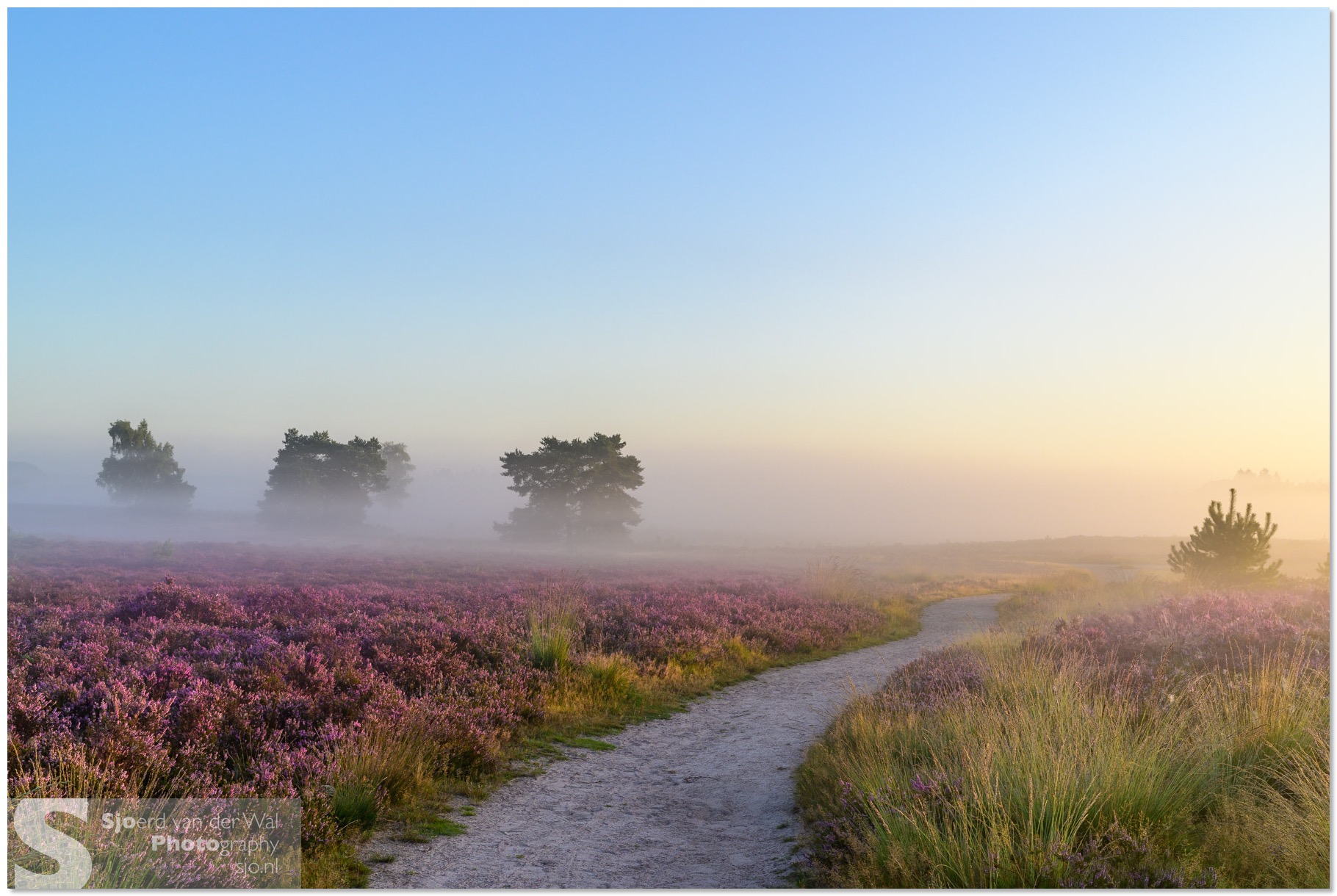 2025-08-15_0307_SvdW-HDR