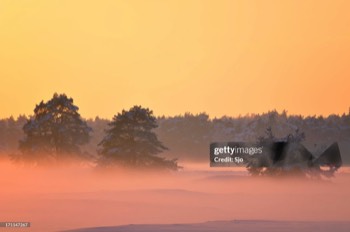 Winter zonsondergang Veluwe