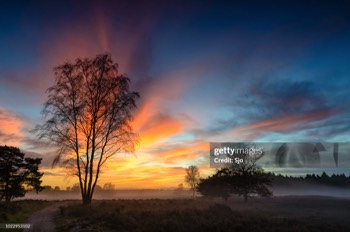 Winter zonsondergang op de Veluwe
