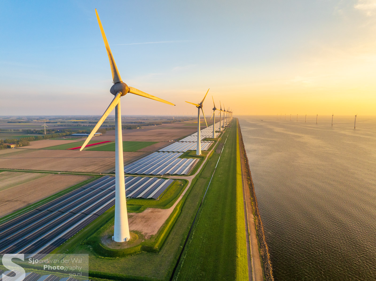 Windmolens in Flevoland
